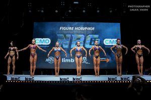 FIGURE НОВИЧКИ